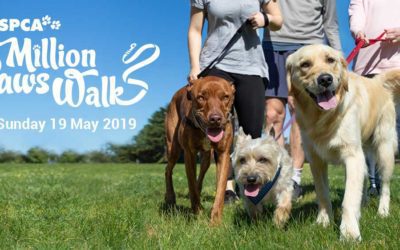 RSPCA Million Paws Walk 2019 – Busselton
