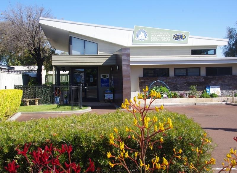 Busselton Vet - TV