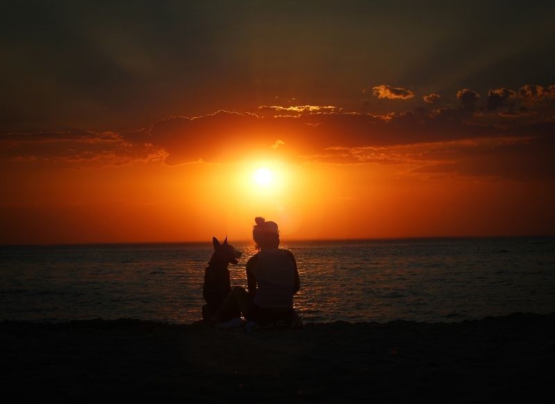 in memorium header sunset photo