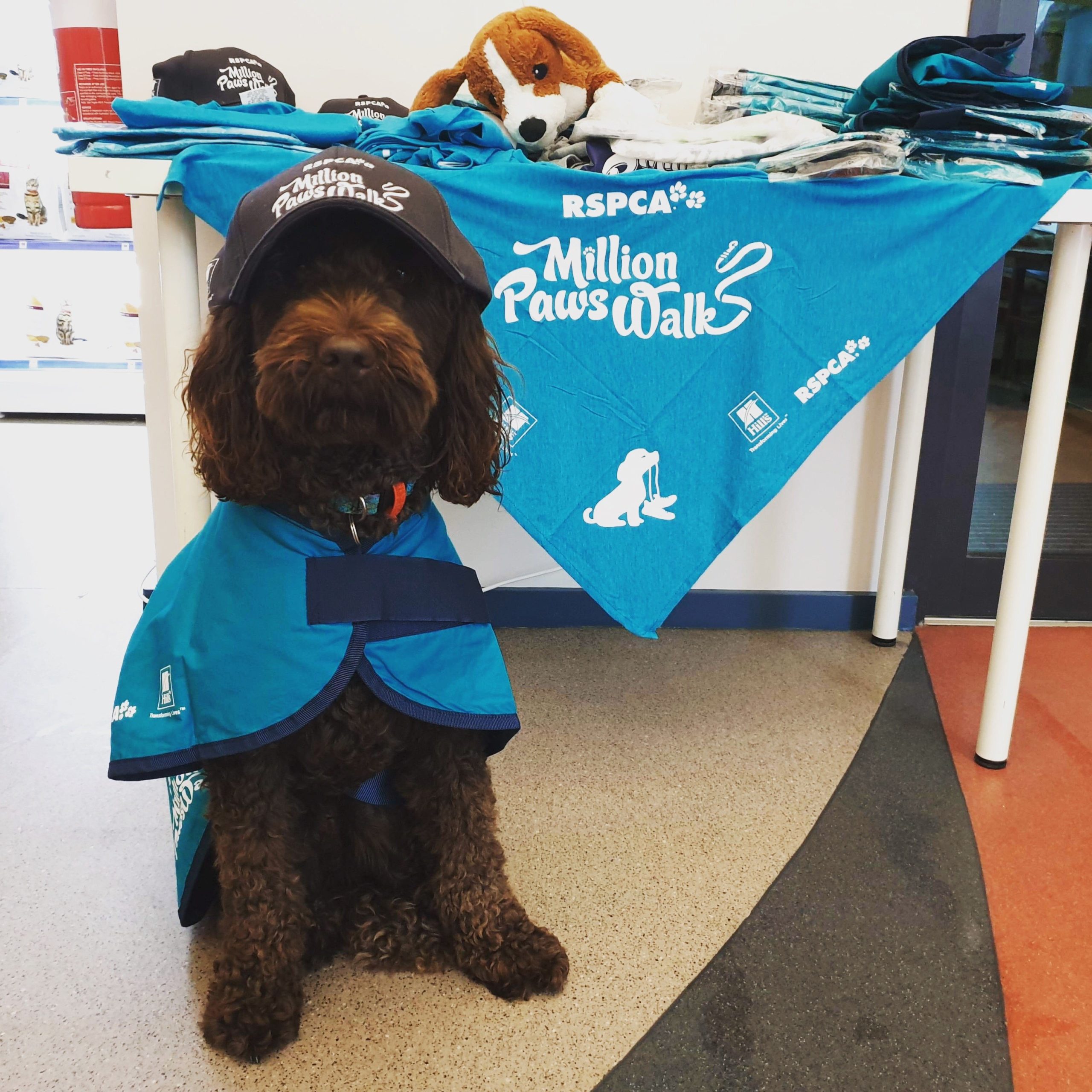 pip-rspcawalk