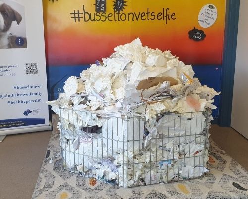 Paper Waste