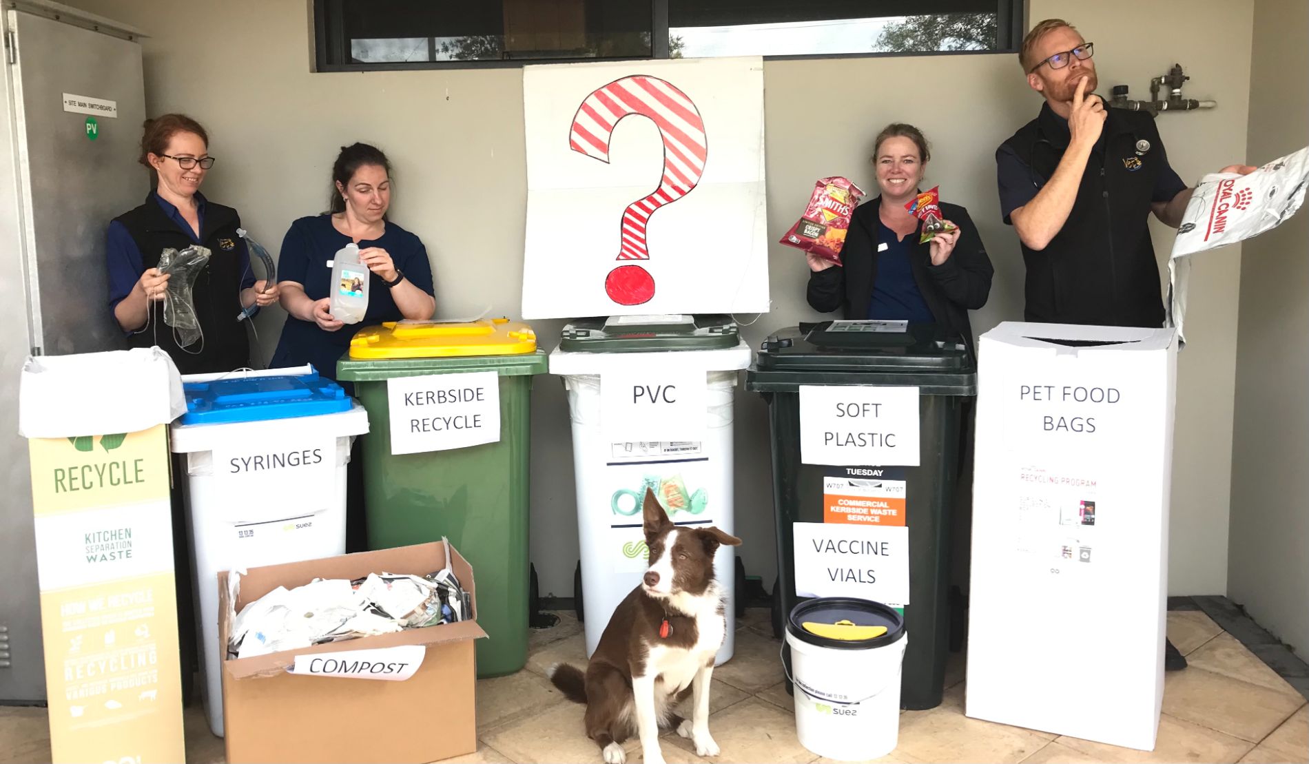 Where does this go picture Sustainability - dog recycling