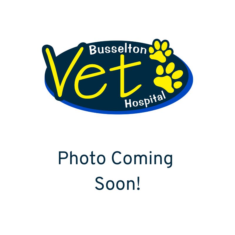 Photo Coming Soon! Coming soon